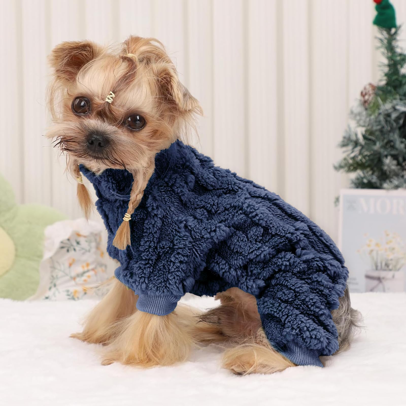 DaFuEn pet outfit apparel versatile indoor and outdoor use.