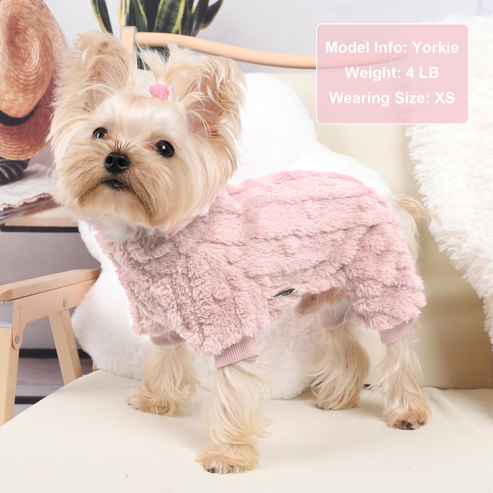 DaFuEn size chart xsmall, helps find the right fit for tiny dogs.