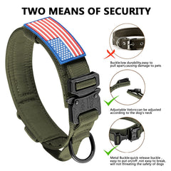 DAGANXI patches add customizable identification and style on any collar.