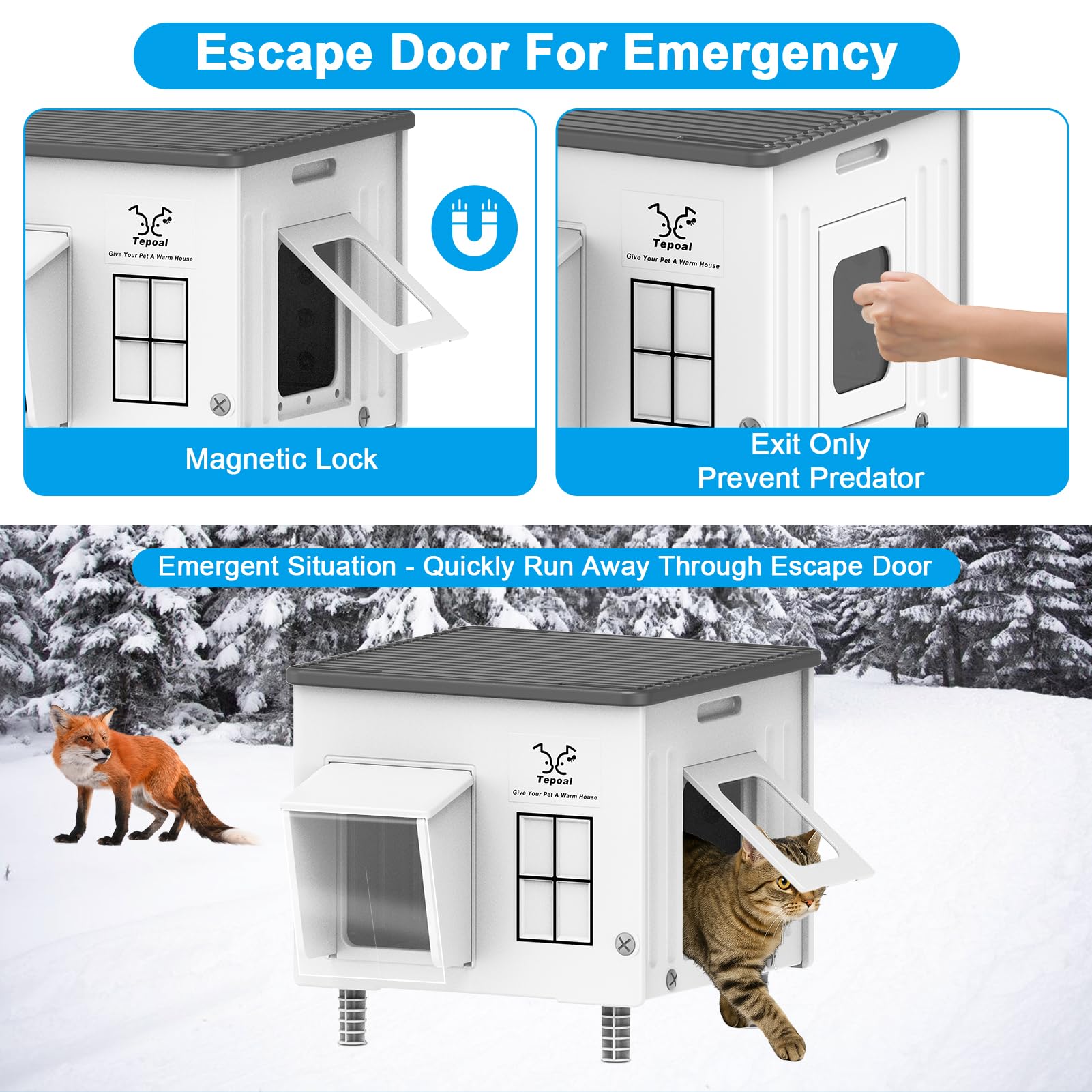 Dahivs Indestructible Cat House waterproof awning demonstrates rainproof protection