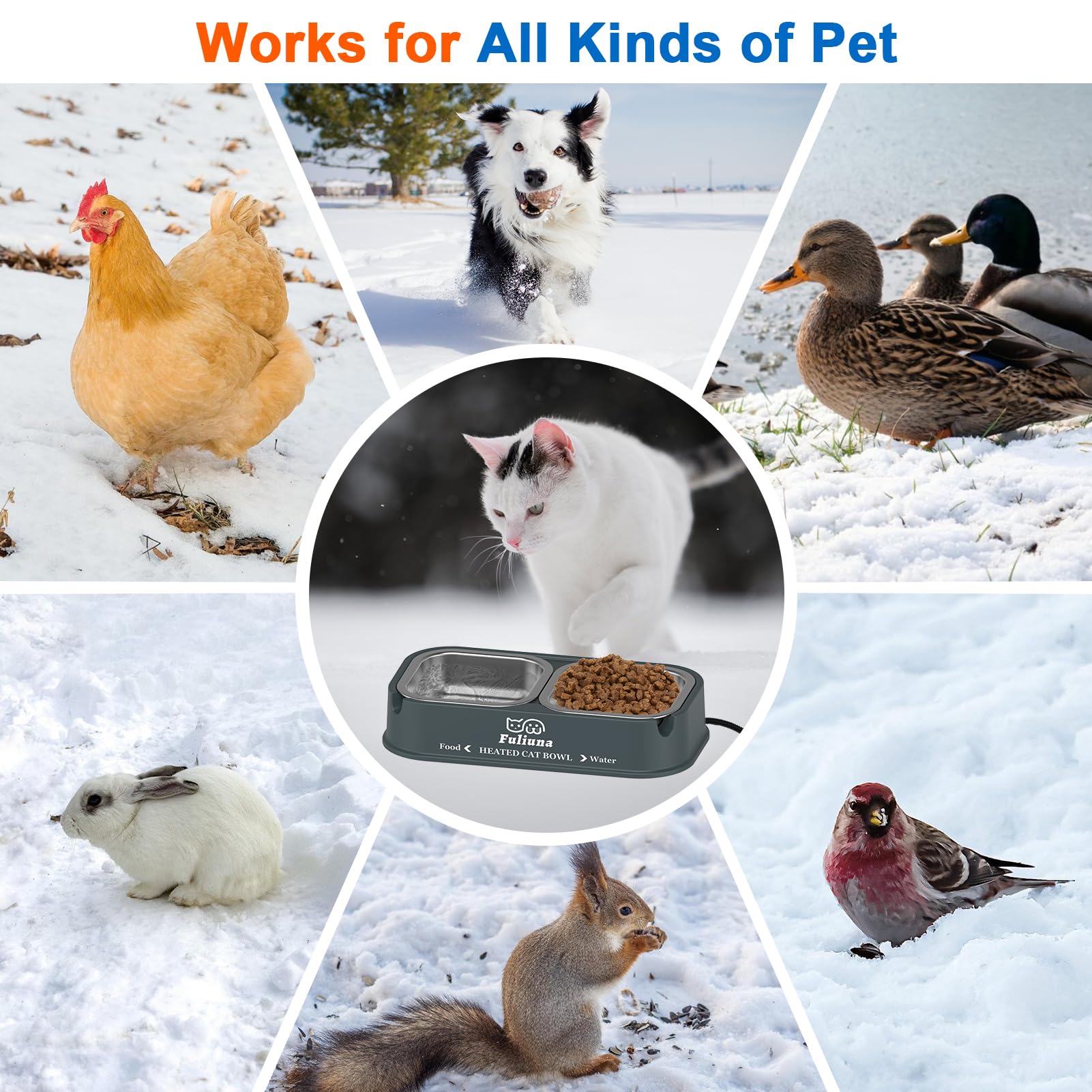 Dahivs winter-ready pet bowl ideal for stray cats, birds, and small mammals