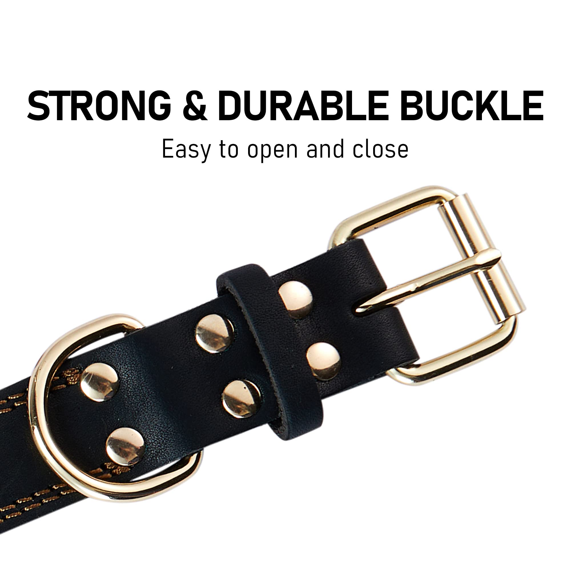 DAIHAQIKO color options six colors display versatile styling for pets