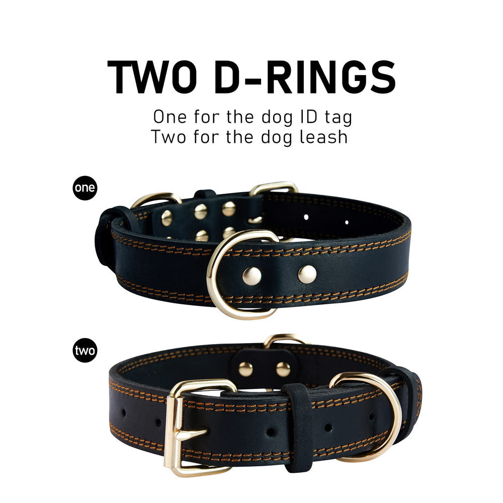 DAIHAQIKO dog collar on dog during a walk illustrating secure fit