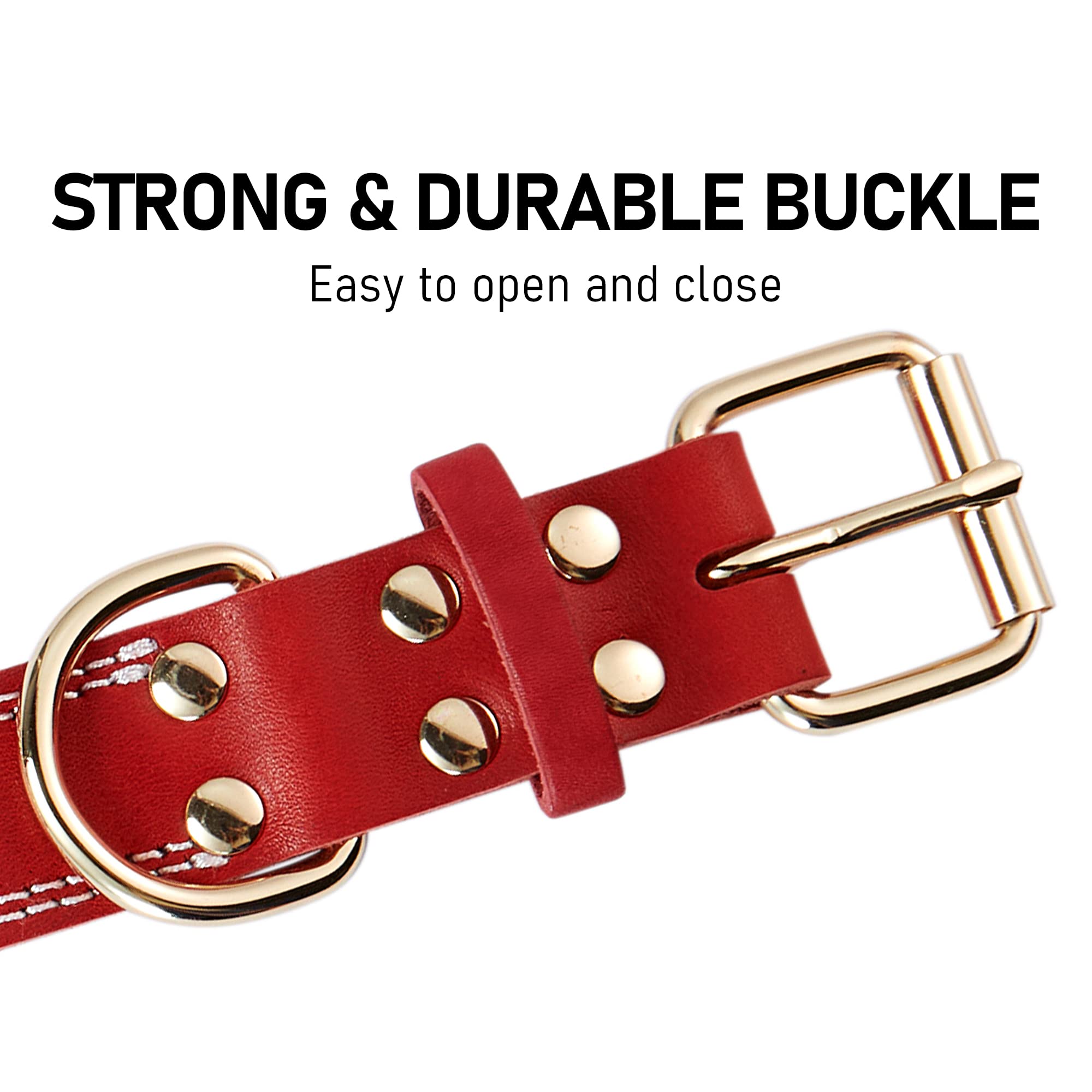 DAIHAQIKO dog collar dual stitch red stitching for durability and style.