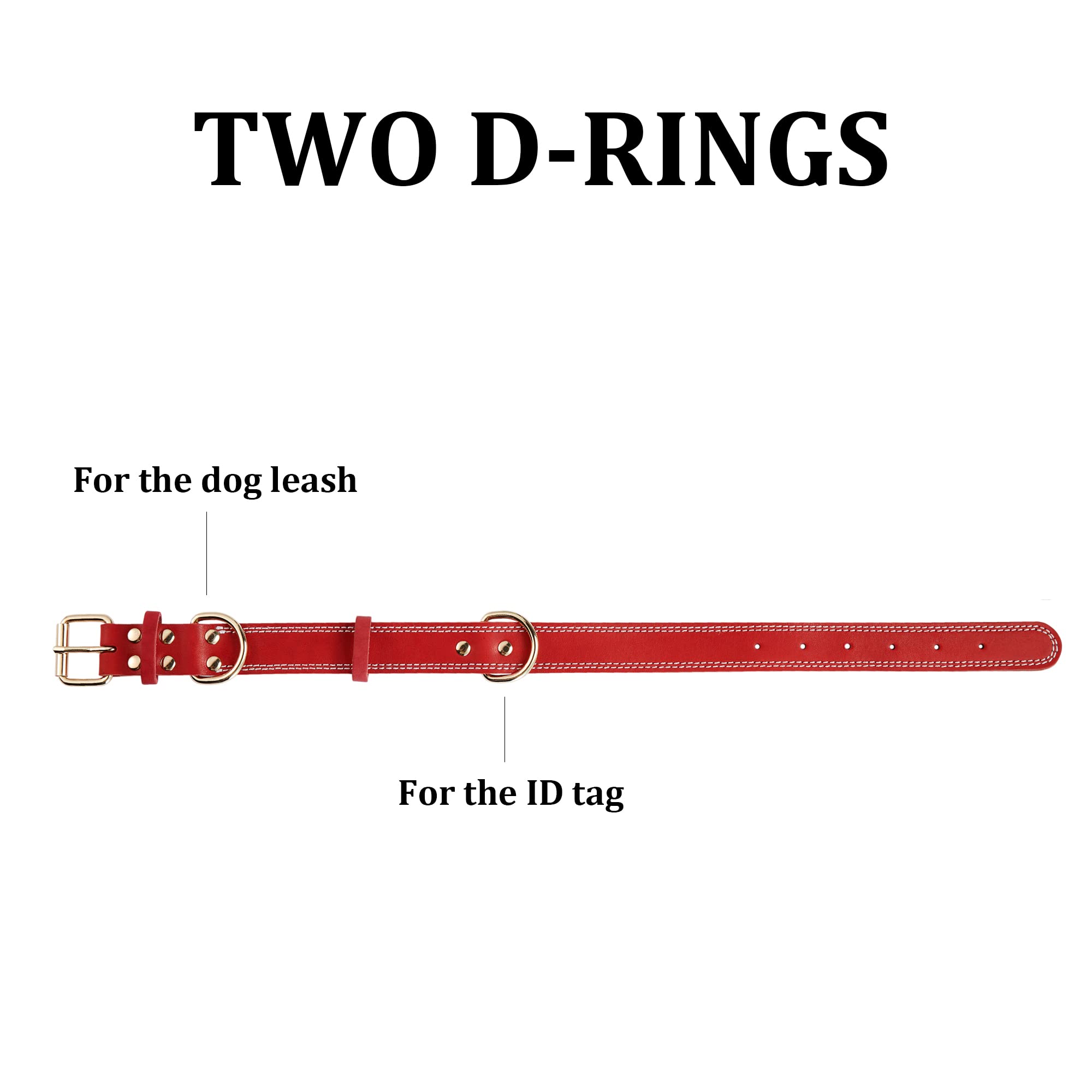 DAIHAQIKO dog collar ID tag loop and secondary D-ring for organization.