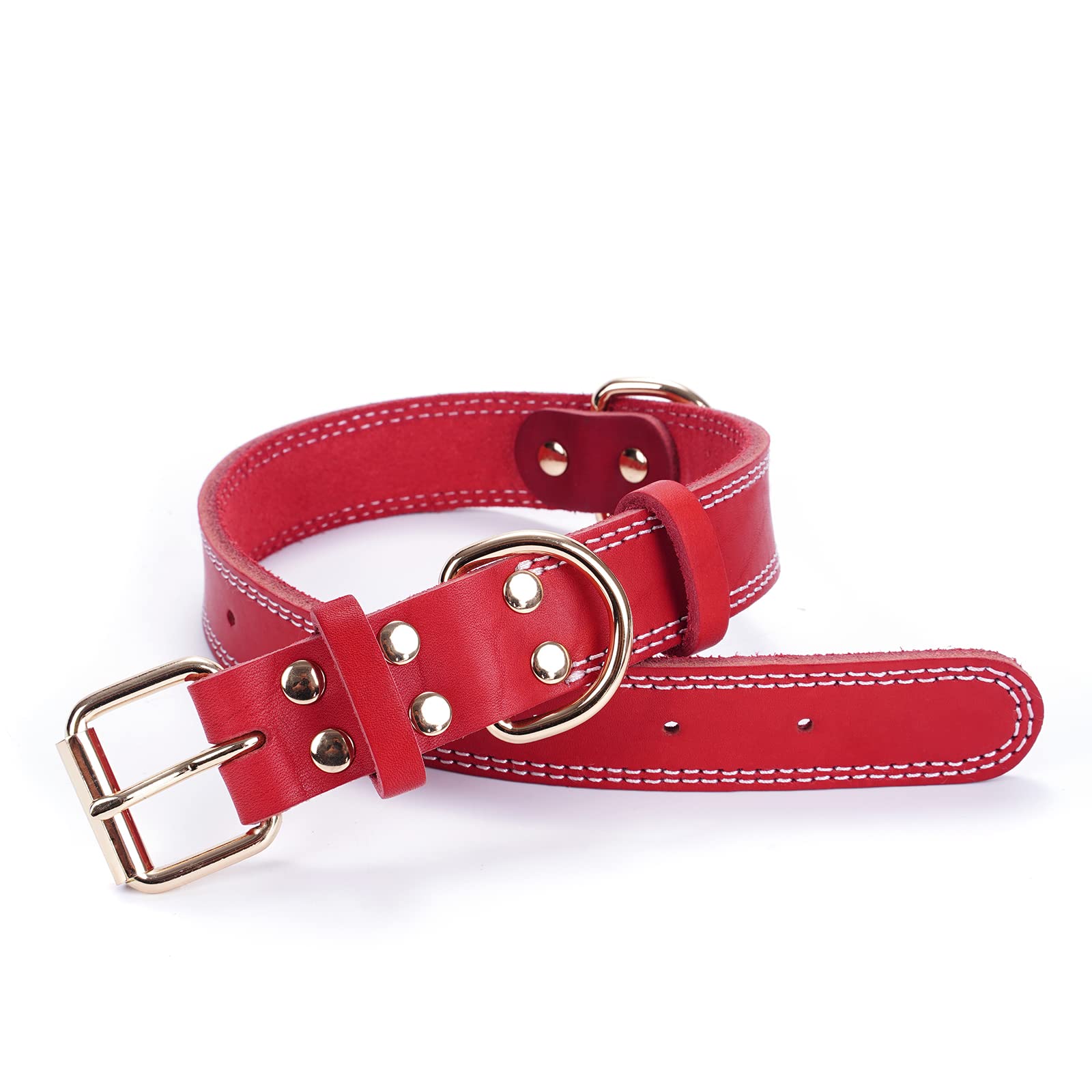 DAIHAQIKO welded D-ring detail adds security for leash and ID tag