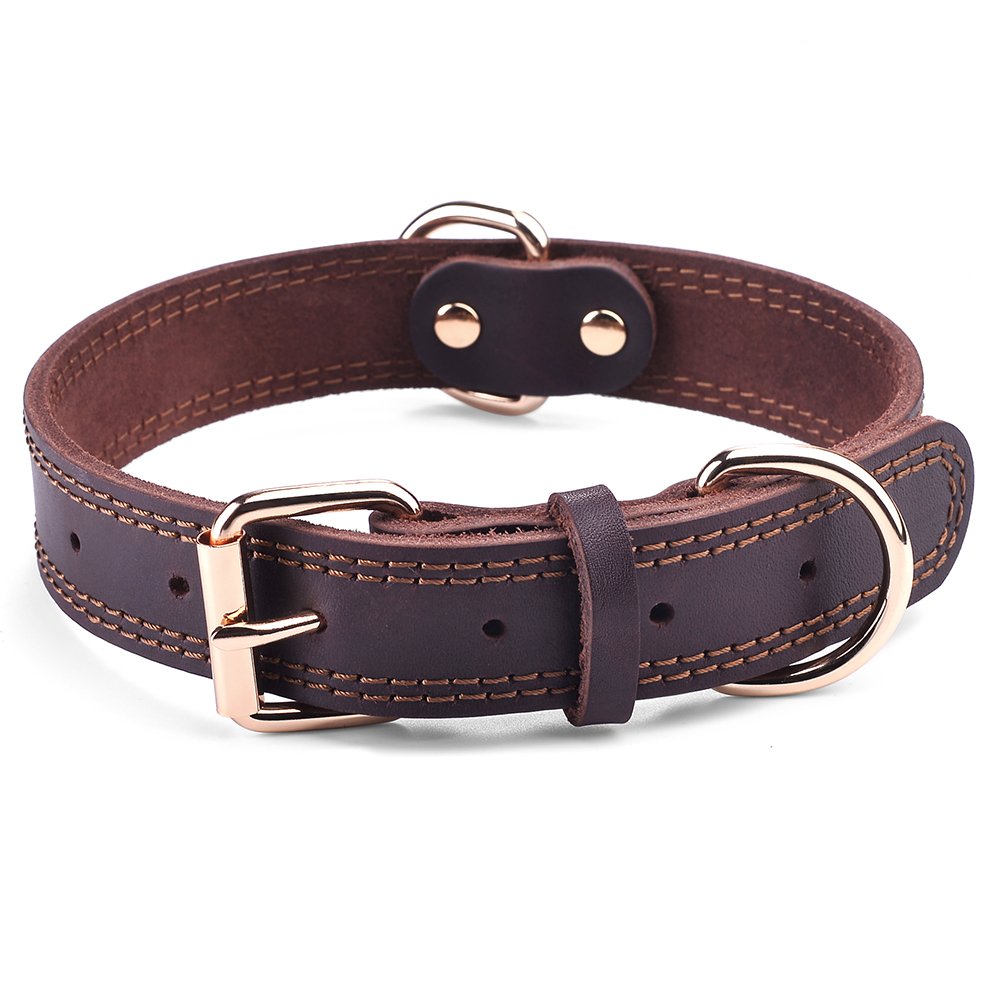 DAIHAQIKO genuine leather dog collar closeup with buckle for durable daily walks