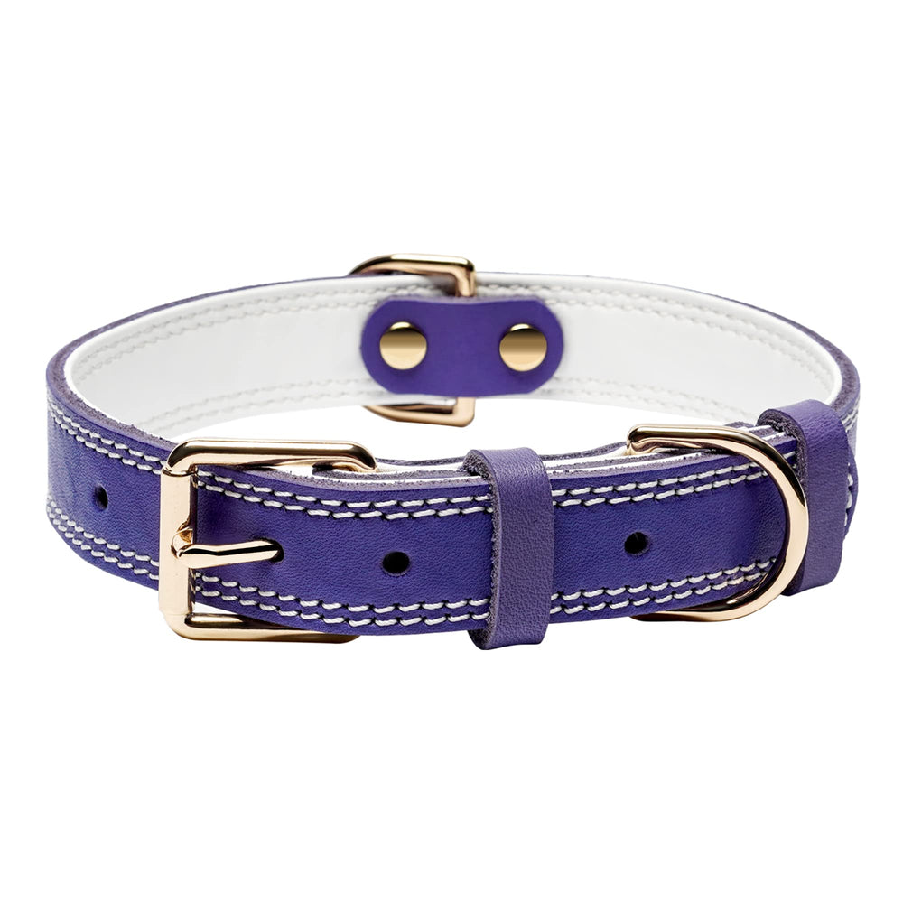 DAIHAQIKO purple 0.8-inch leather collar for small dogs, soft and durable.