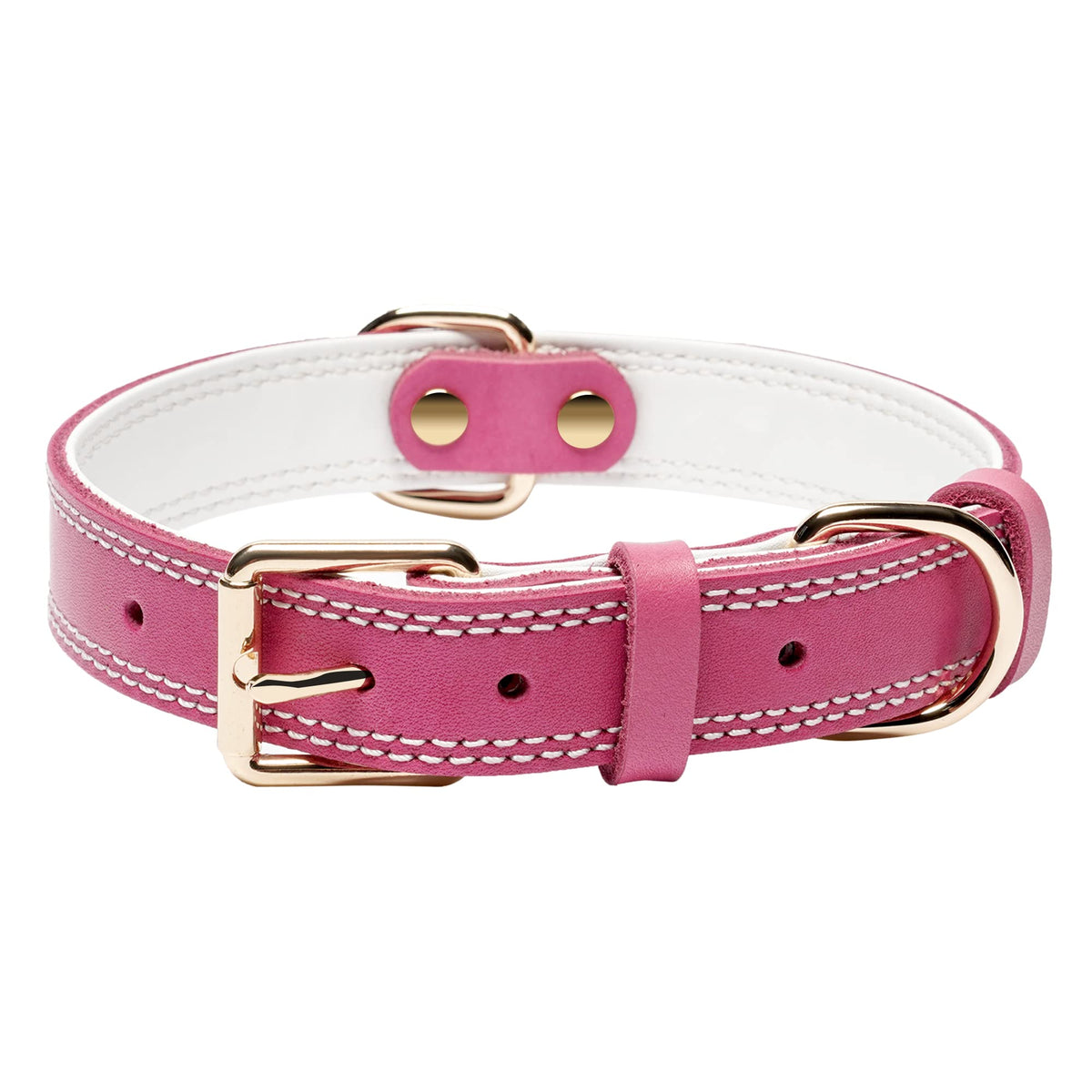 DAIHAQIKO leather dog collar close-up showing durable buckle and premium finish