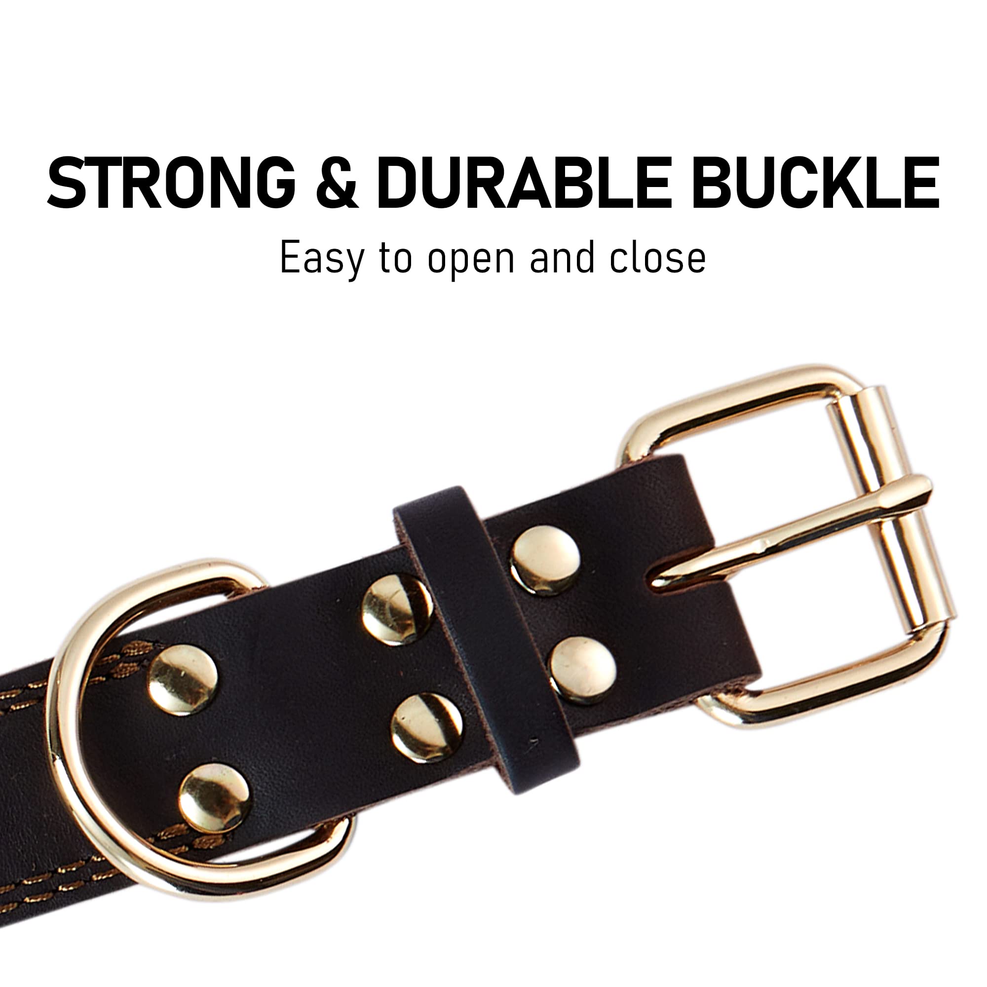 DAIHAQIKO heavy-duty collar displayed in gift-ready box for gifting.