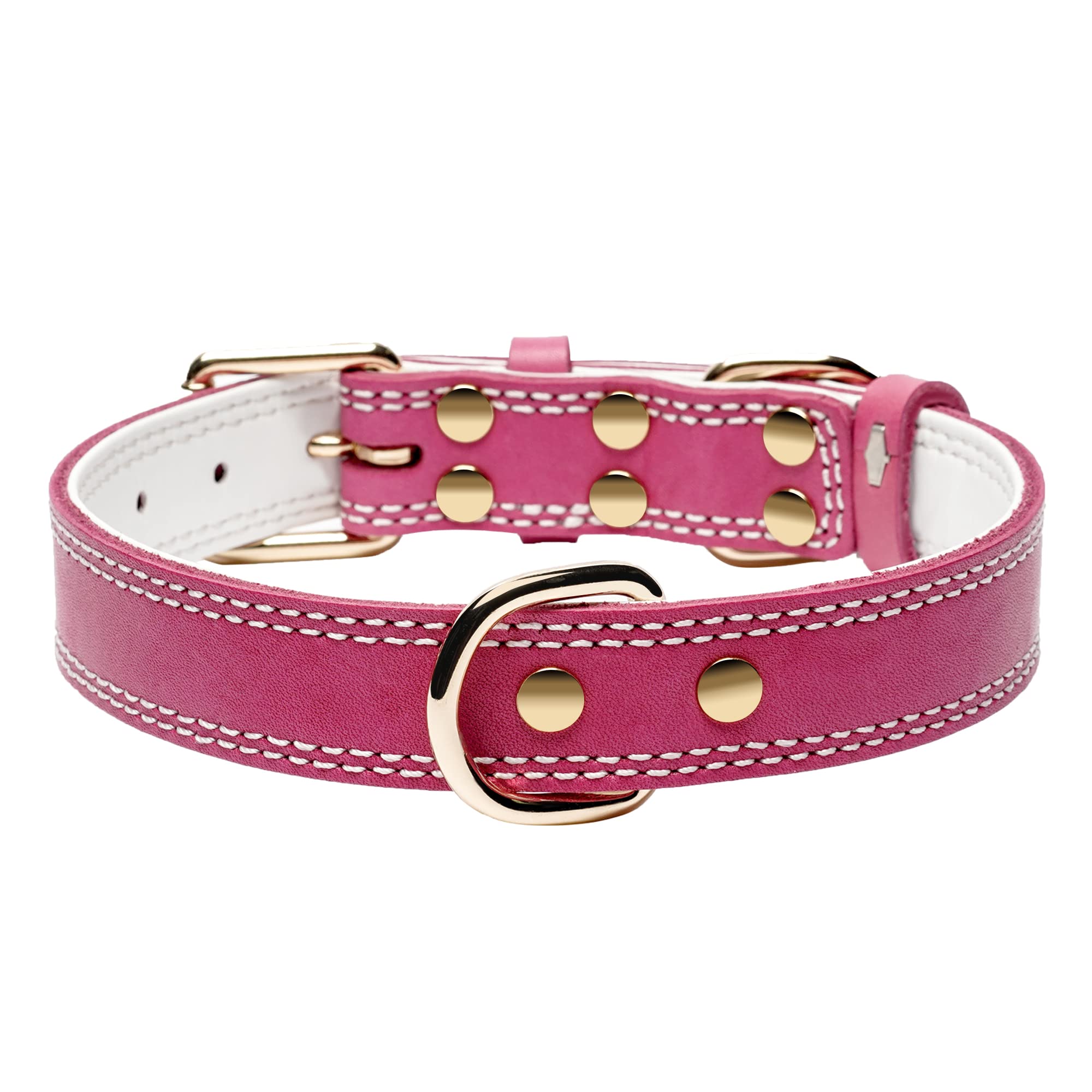 DAIHAQIKO collar with double D-rings for leash and ID tag
