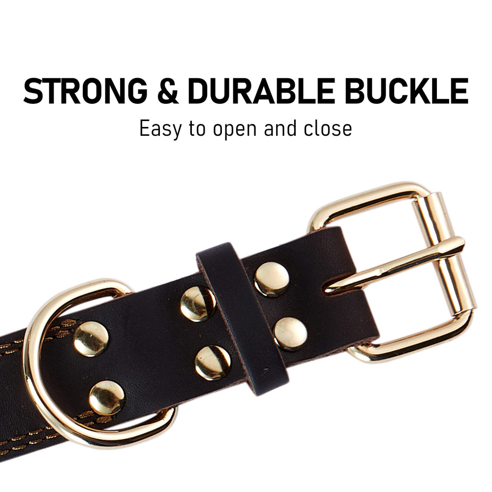 DAIHAQIKO wide 1.4-inch XL collar for large dogs during daily walks.