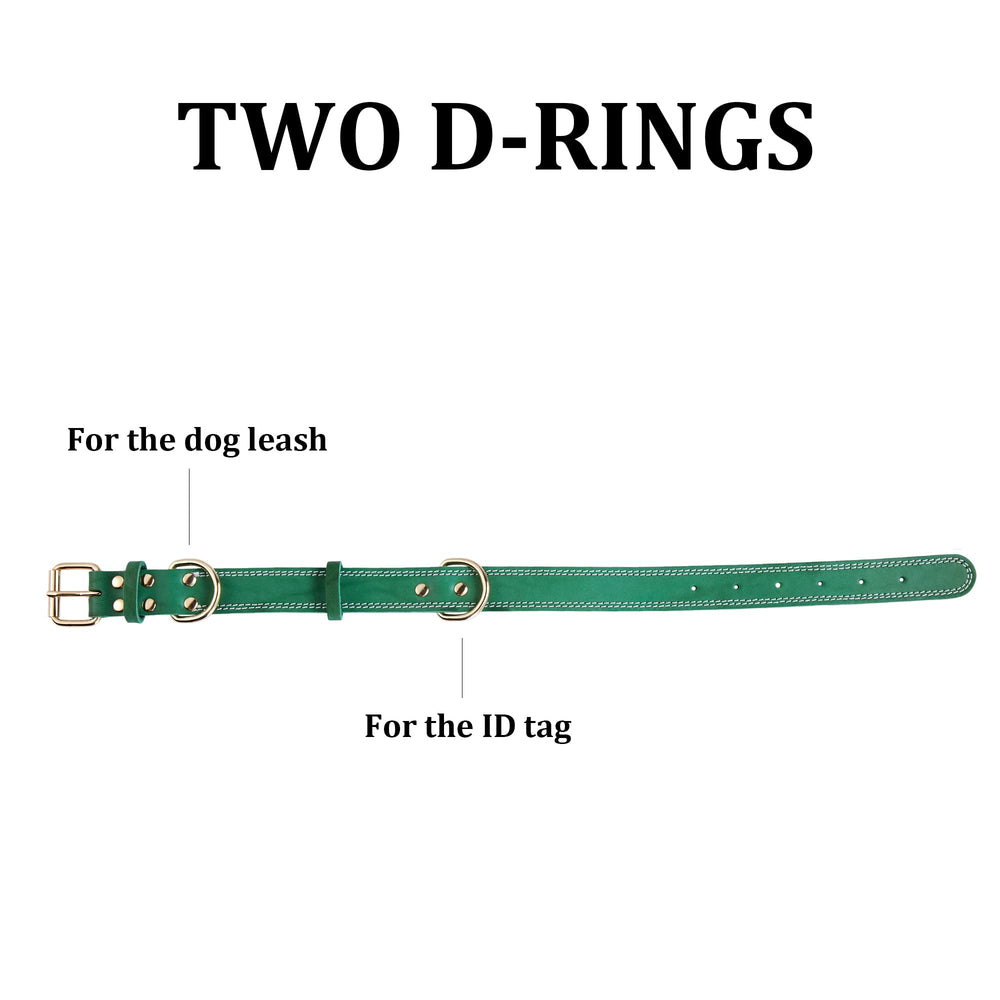 DAIHAQIKO leather dog collar dual D-ring detail for tag and leash