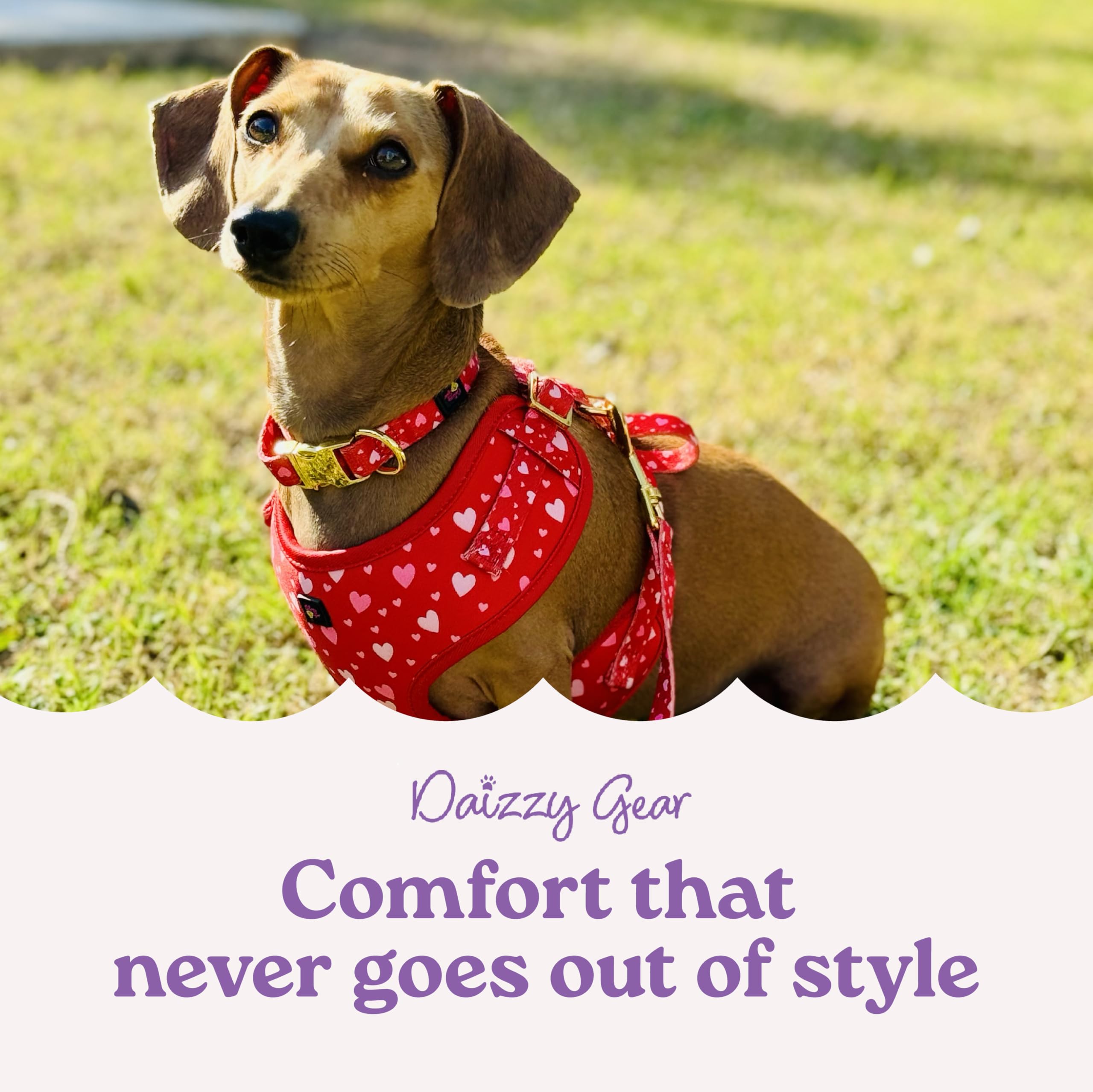 Daizzy Gear ergonomic soft handle reduces hand fatigue on long strolls.