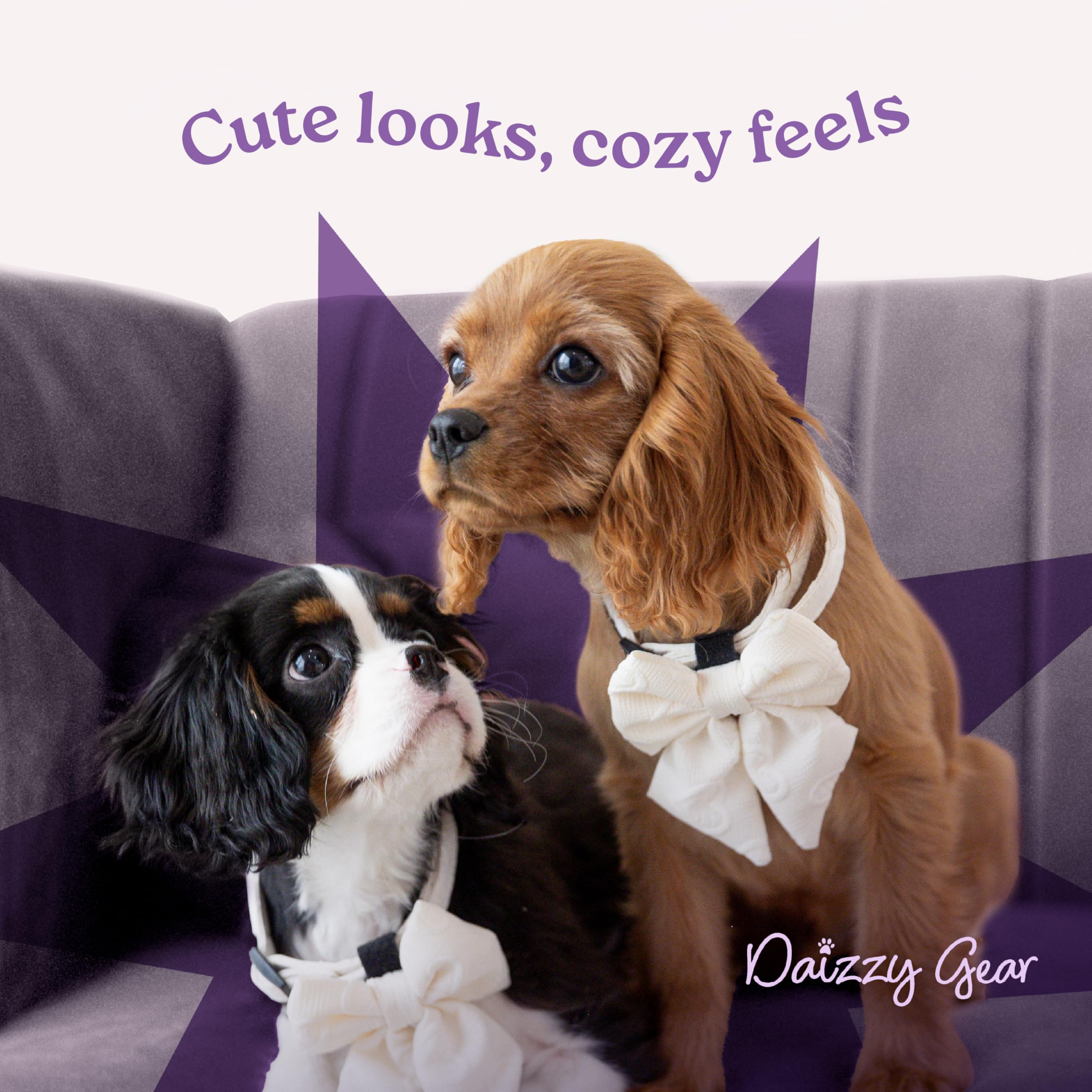 Daizzy Gear retractable leash extended in a park, supporting dogs of various sizes.
