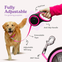 Daizzy Gear retractable leash extended during park walk shows smooth control.