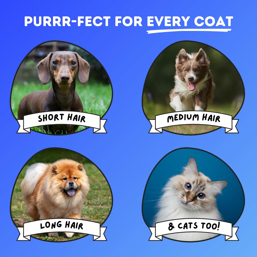 DakPets coat-detail close-up highlights thinning action to improve coat health.