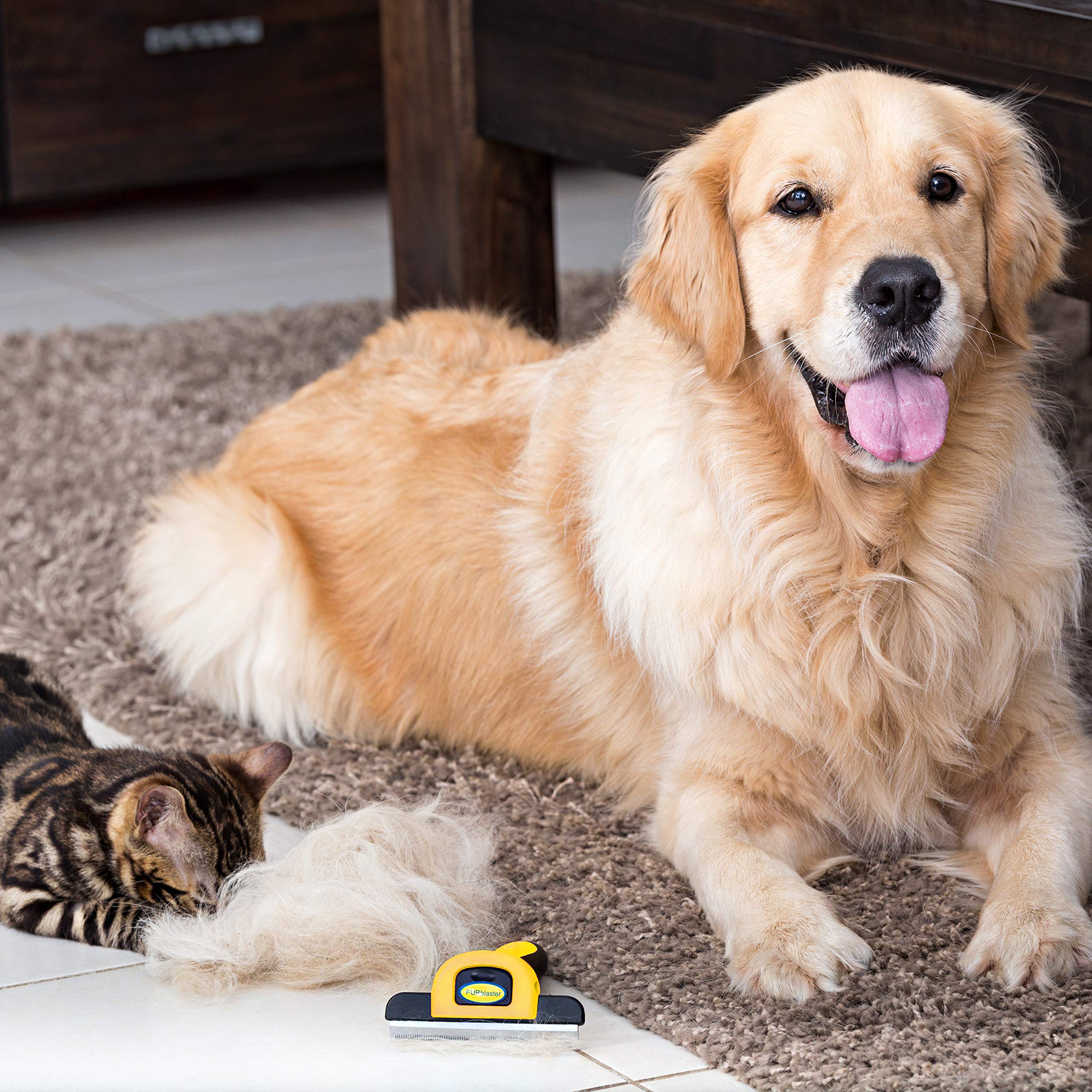 DakPets detachable comb clean-up shown for easy maintenance.