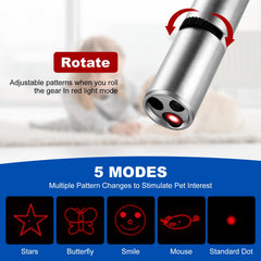 Damflew laser pointer bird toy with USB charging for long play sessions.