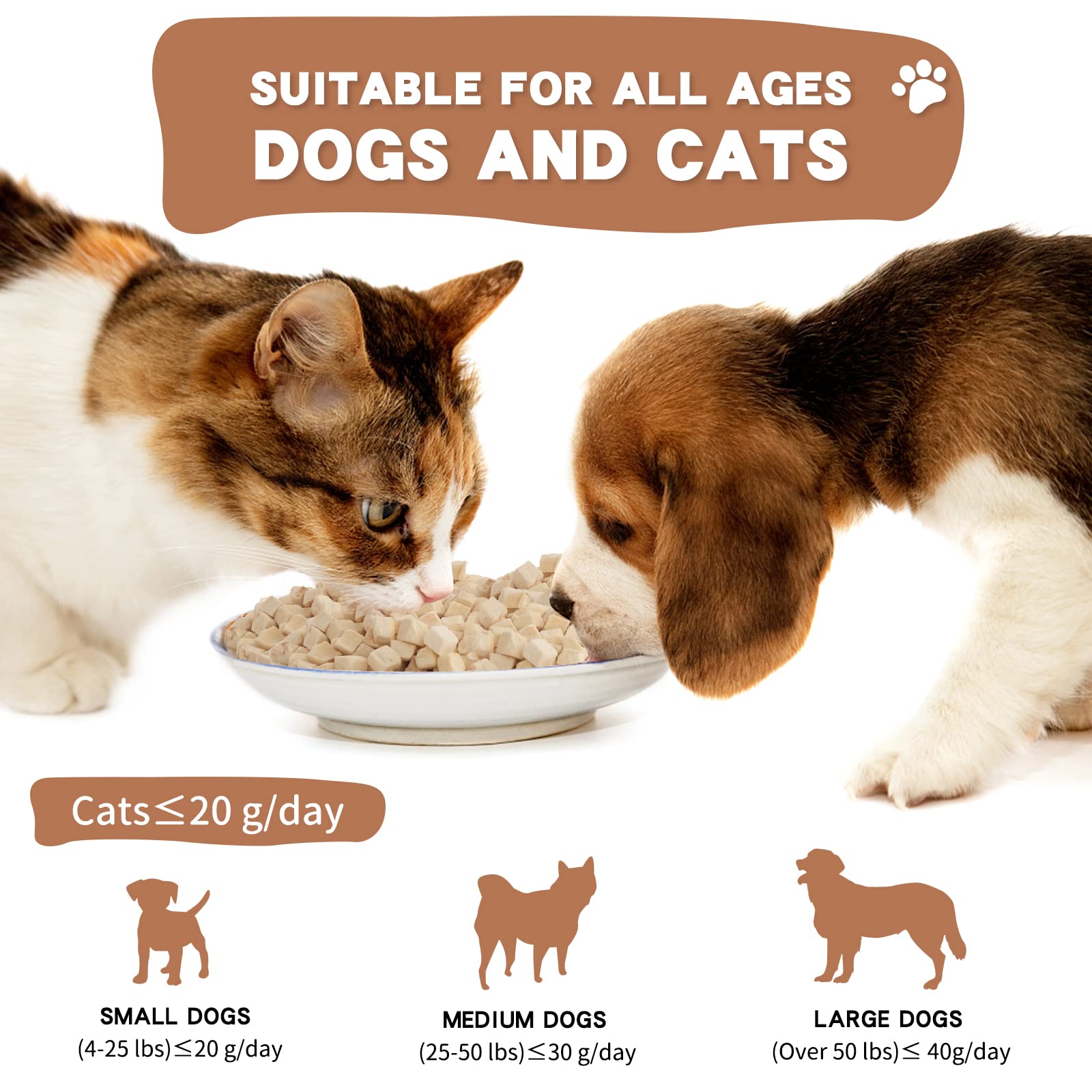 Dancing Tail dog-enjoys-chicken-cubes suitable-for-all-ages feeding