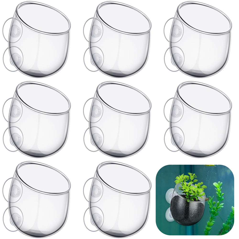Dandat 8-pack clear glass aquarium plant holders shown for neat tank organization
