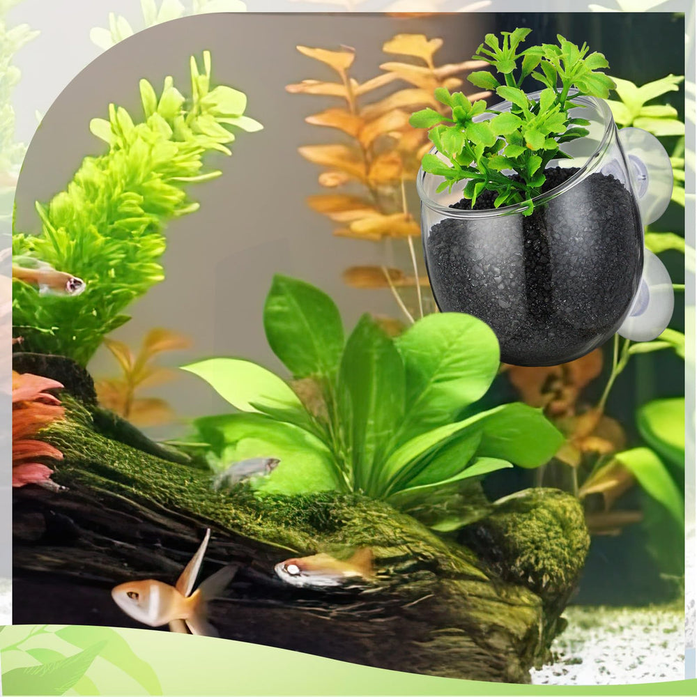 Dandat aquaponics friendly plant holder used in a water feature setup