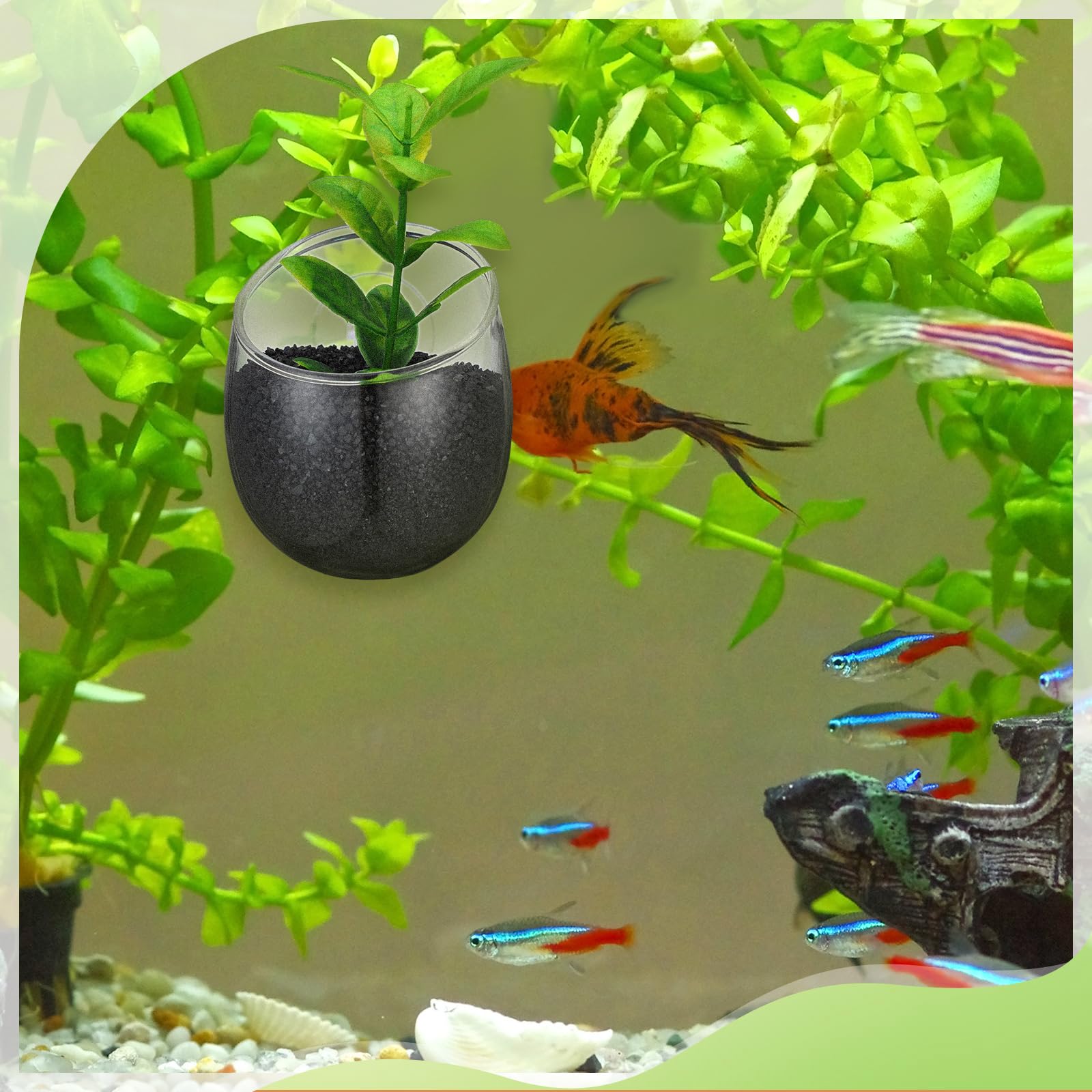 Dandat aquarium landscape organization with plant holder for neat layout
