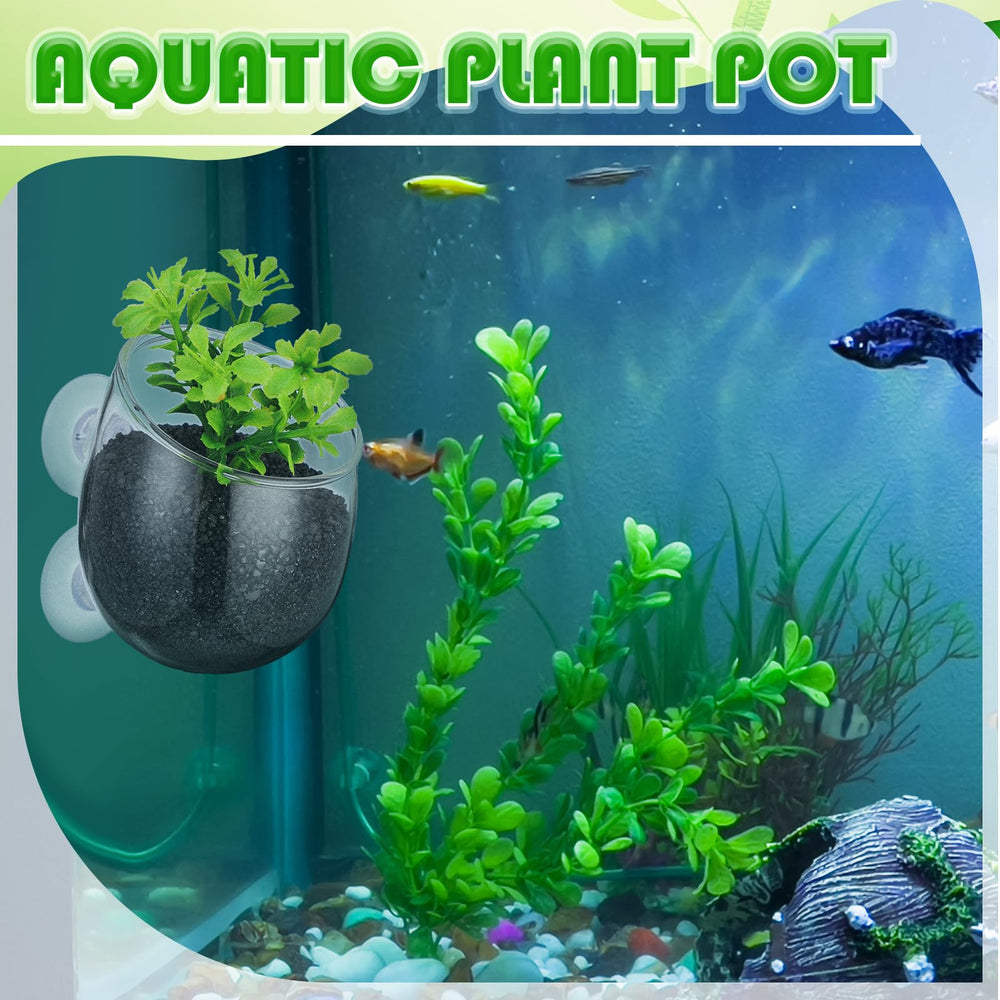 Dandat easy insert and remove plant holder in action