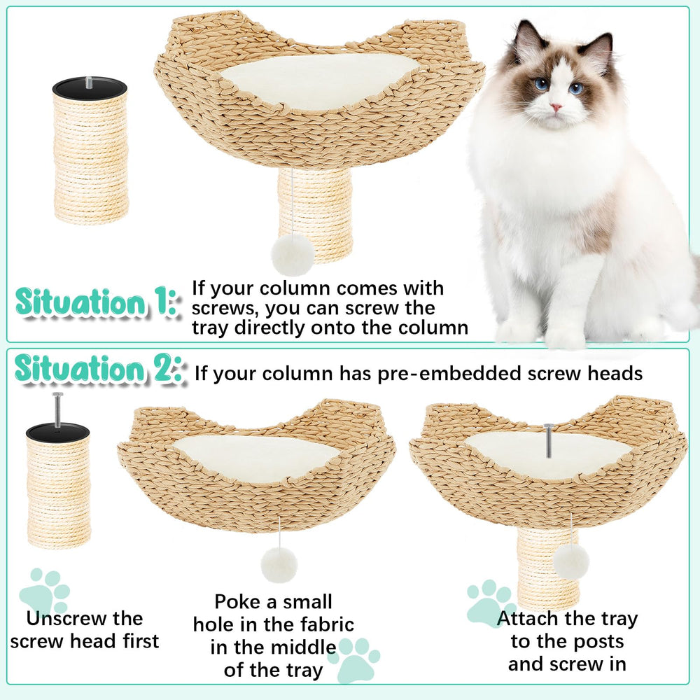 Dansydaisy bottom plate with fur balls enhances interactive play