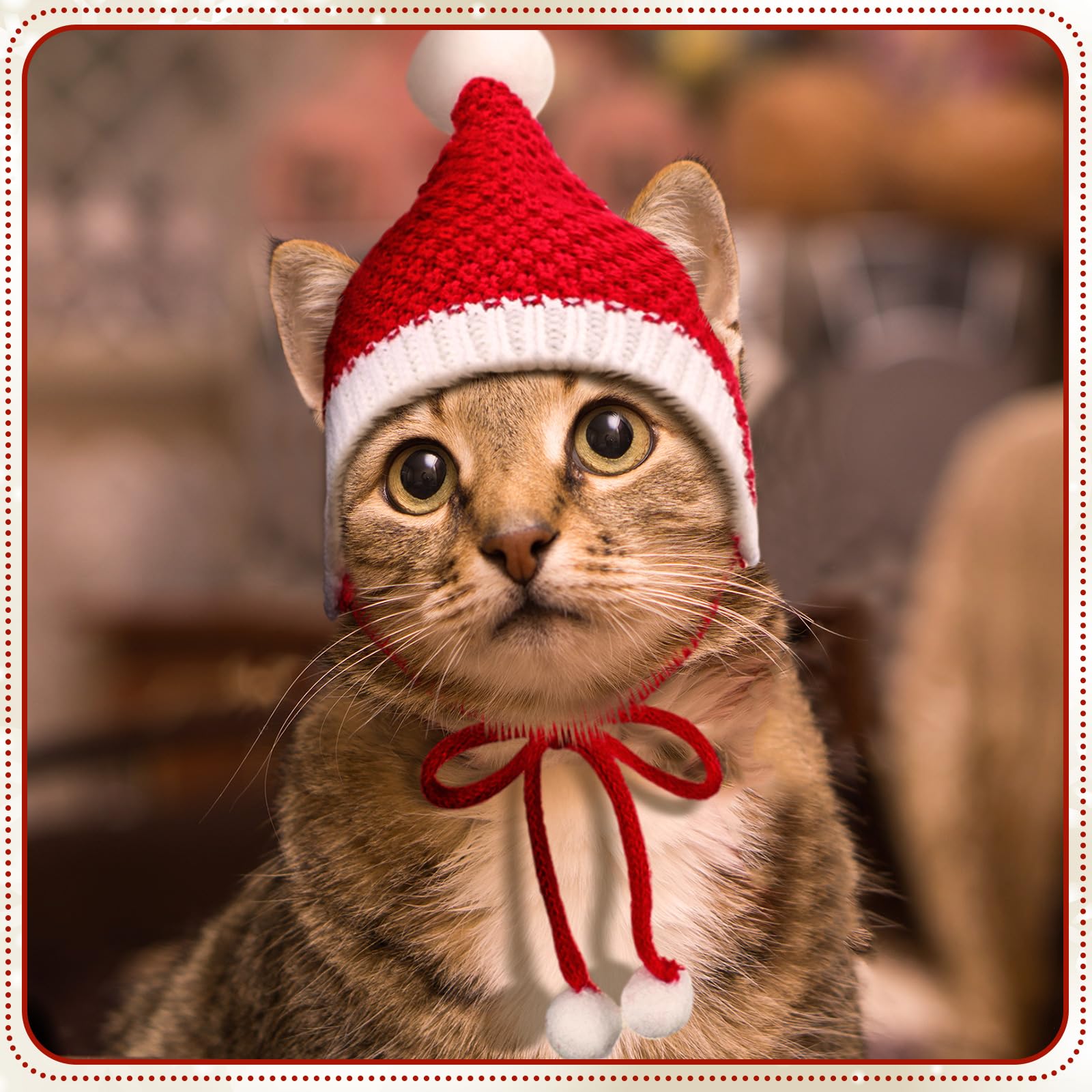 Dansydaisy dog Santa hat pack demonstrates four styles for varied holiday looks.