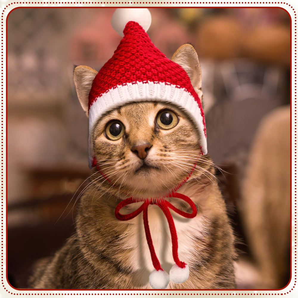 Dansydaisy dog Santa hat pack demonstrates four styles for varied holiday looks.