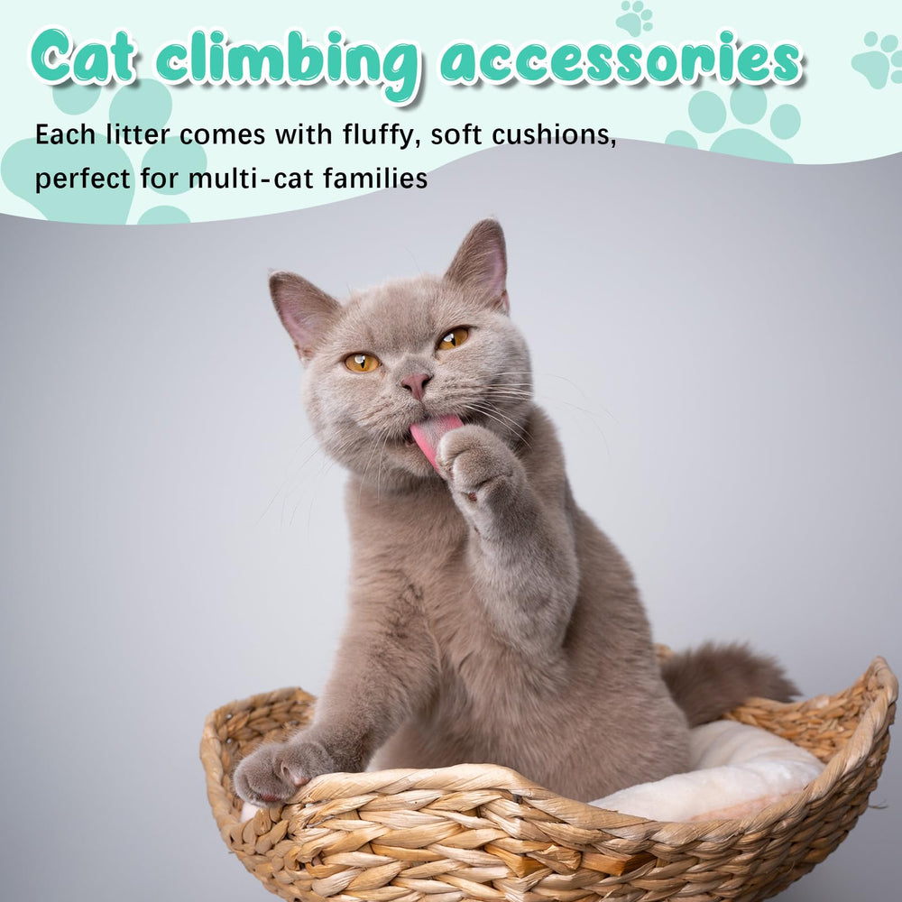 Dansydaisy multi-cat-friendly design expands play and rest space