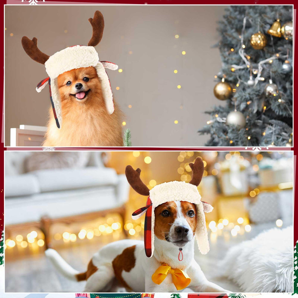 Dansydaisy soft cotton material hat for small to large dogs