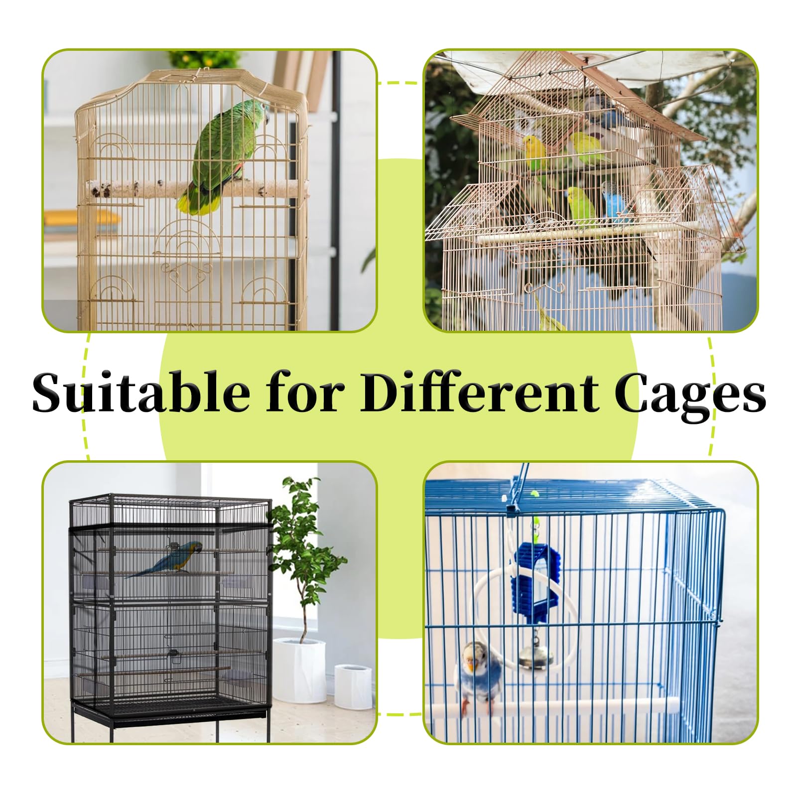 Daoeny cage on parrot cage shows effective seed containment during feeding