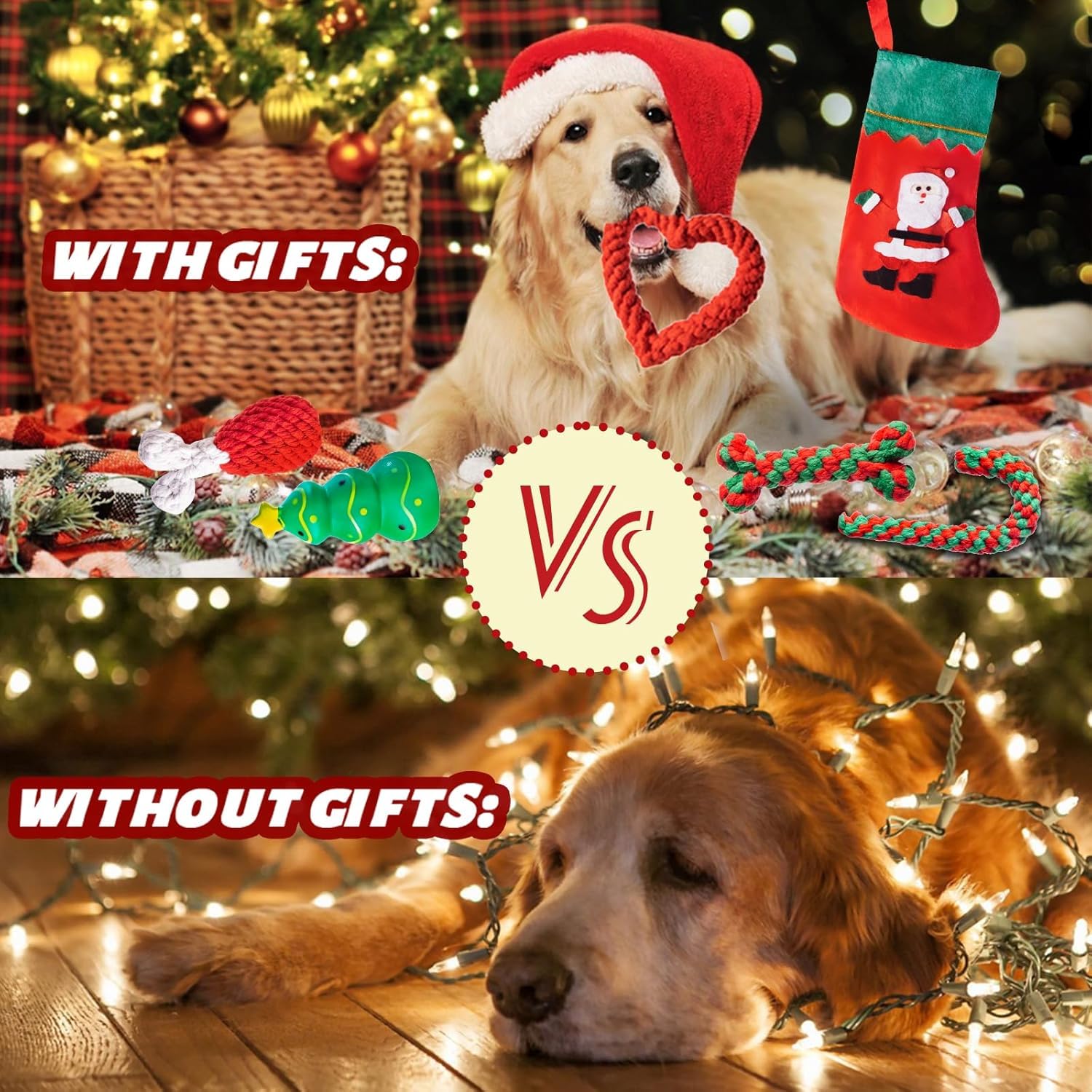 DARDOHIA durable rope toys promote healthy chewing and engagement