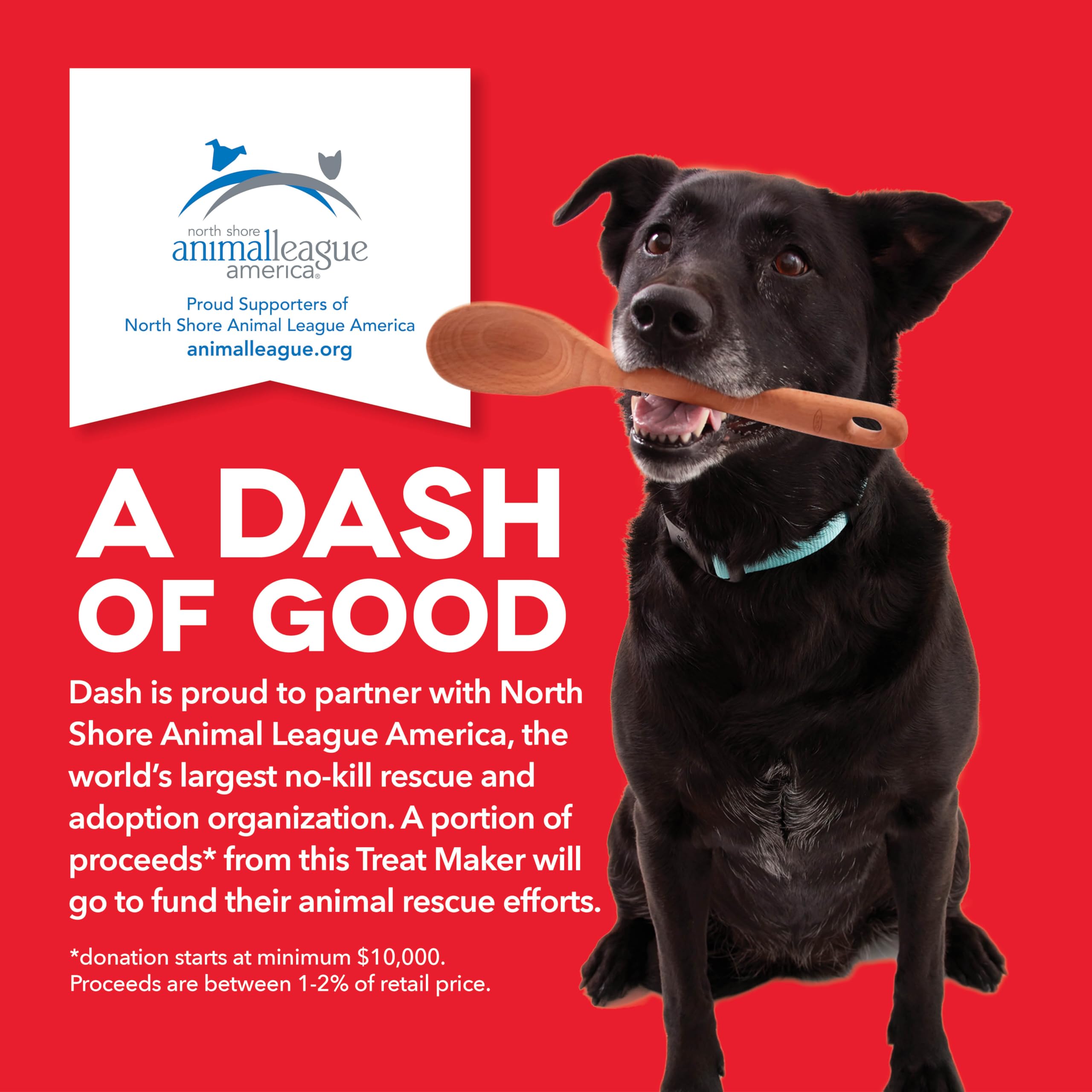 Dash Mini Dog Treat Maker kitchen-counter setup inspires homemade rewards and bonding moments.