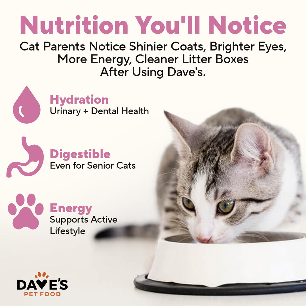 Dave's Pet Food 12-pack cans on shelf, affordable nutrition option.