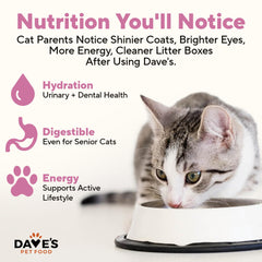 Dave's Pet Food 12-pack cans on shelf, affordable nutrition option.