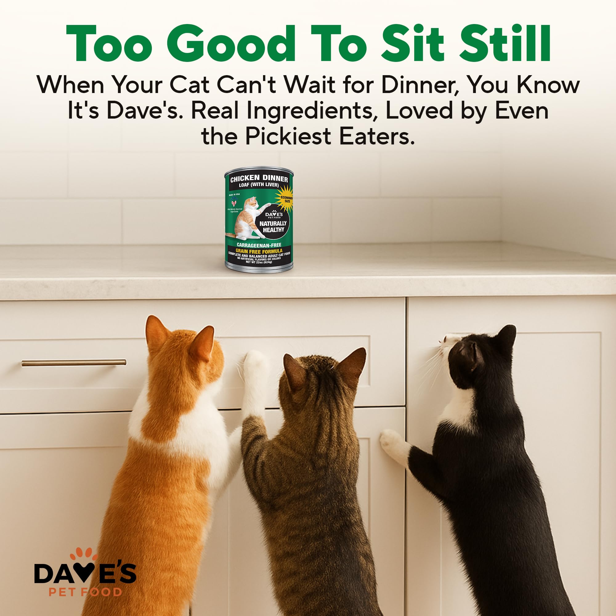 Dave's Pet Food added-vitamins-minerals supports daily cat wellness with balanced nutrition.