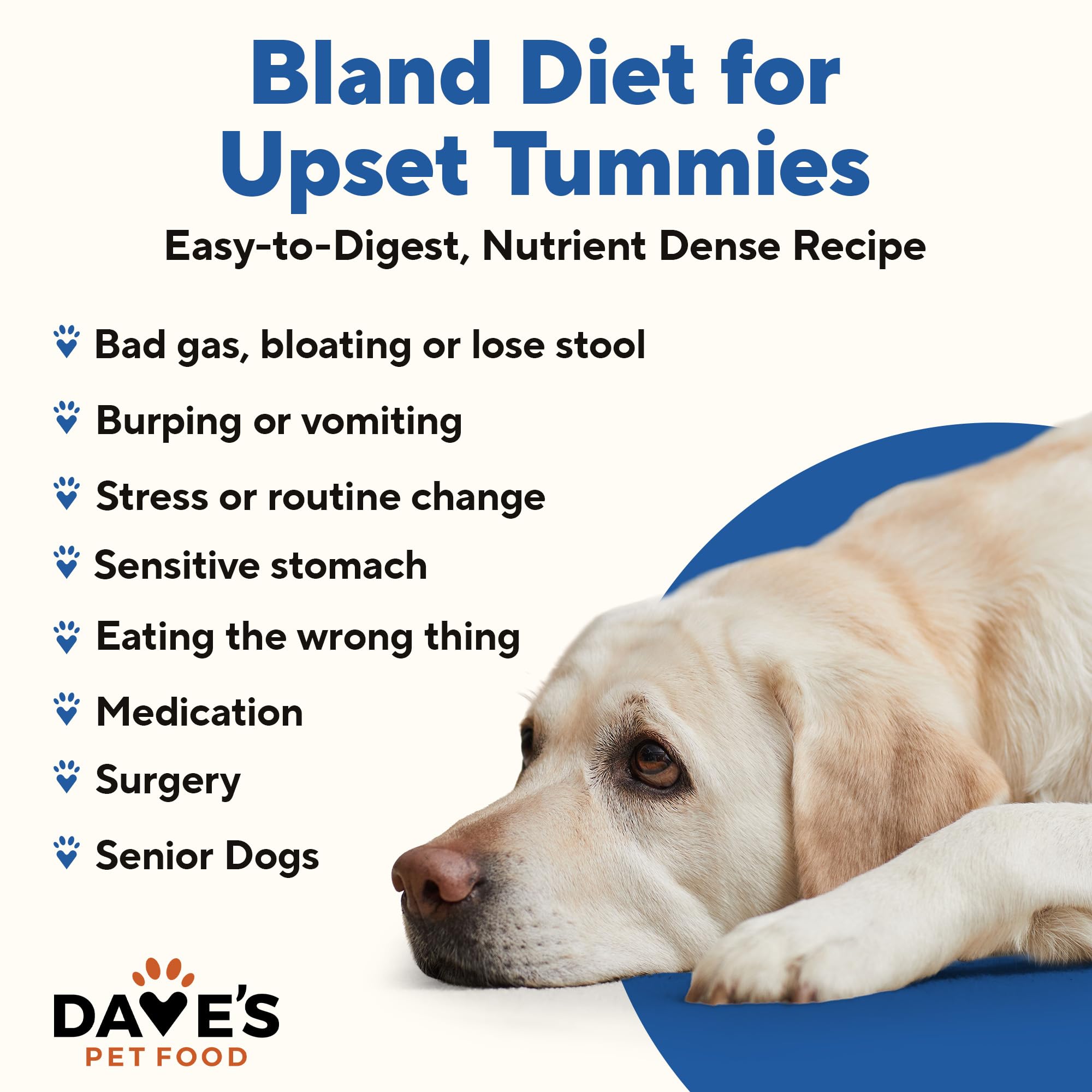 Dave's Pet Food Bland Diet dog food bag front highlights simple limited-ingredient recipe