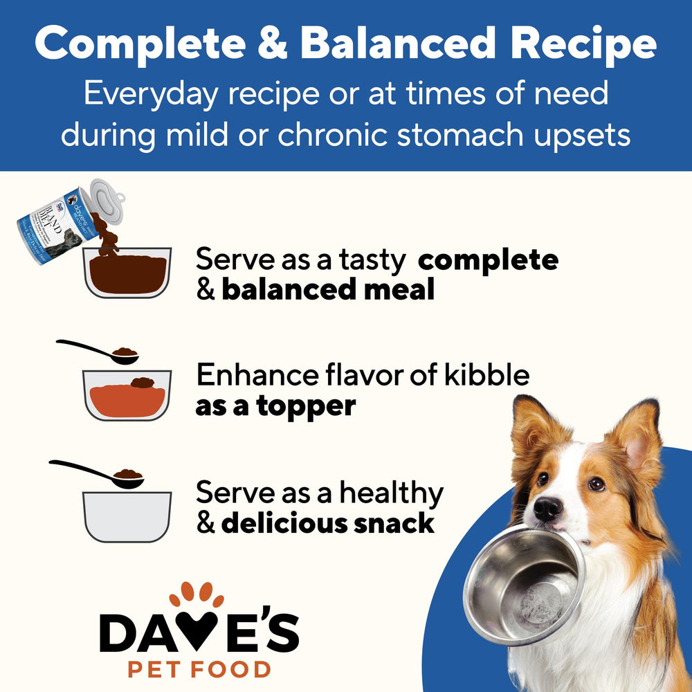 Dave's Pet Food Bland Diet closeup shows simple chicken and rice formula for gentle tummy care.
