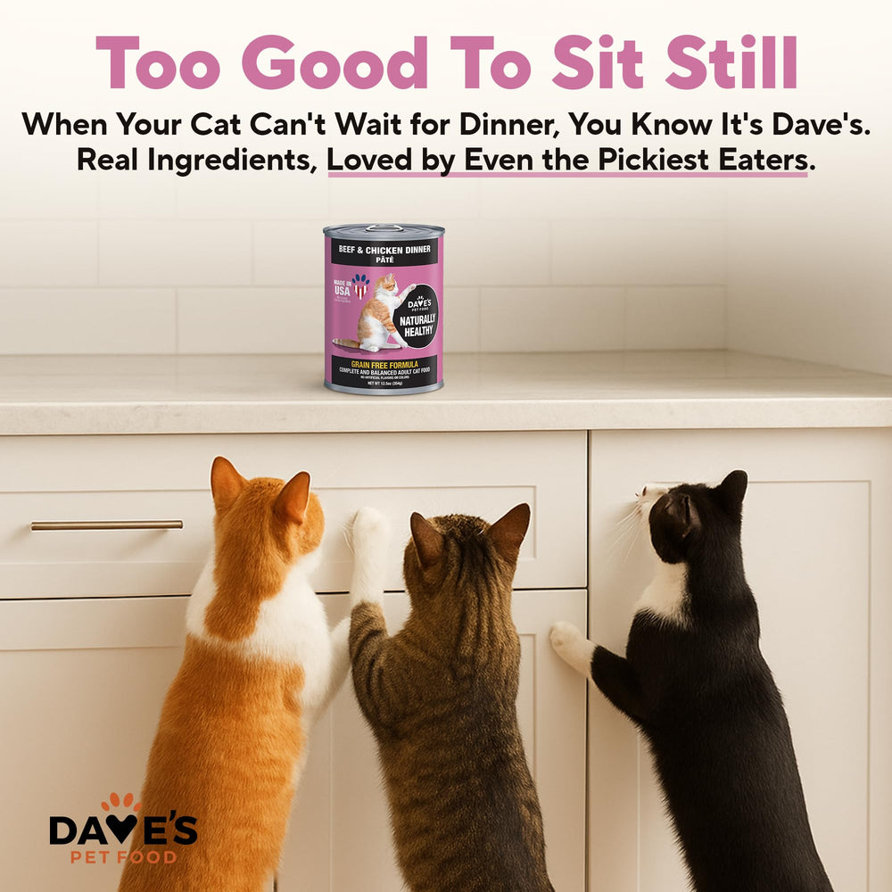 Dave's Pet Food cat bowl with water, emphasizes hydration-friendly meal.
