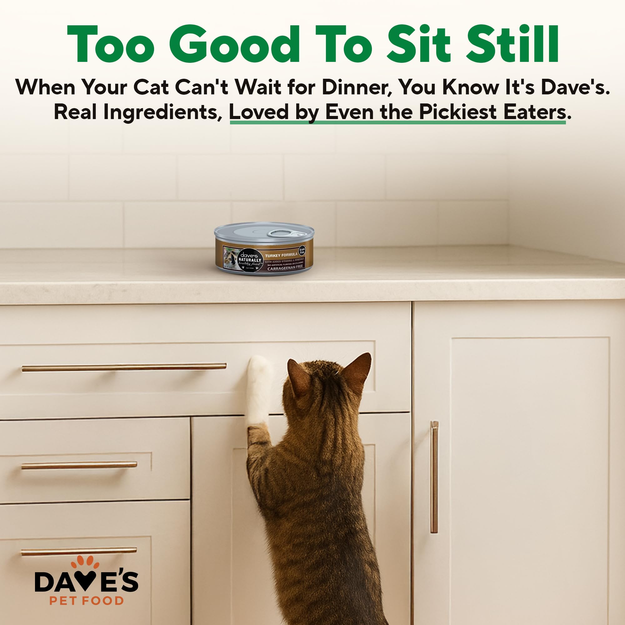 Dave's Pet Food turkey pate being served shows palatability and easy portioning