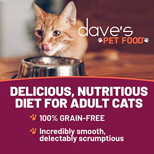 Dave's Pet Food naturally-healthy-24-pack-box highlights convenient, bulk feeding for cat owners.