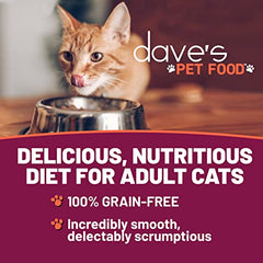 Dave's Pet Food naturally-healthy-24-pack-box highlights convenient, bulk feeding for cat owners.
