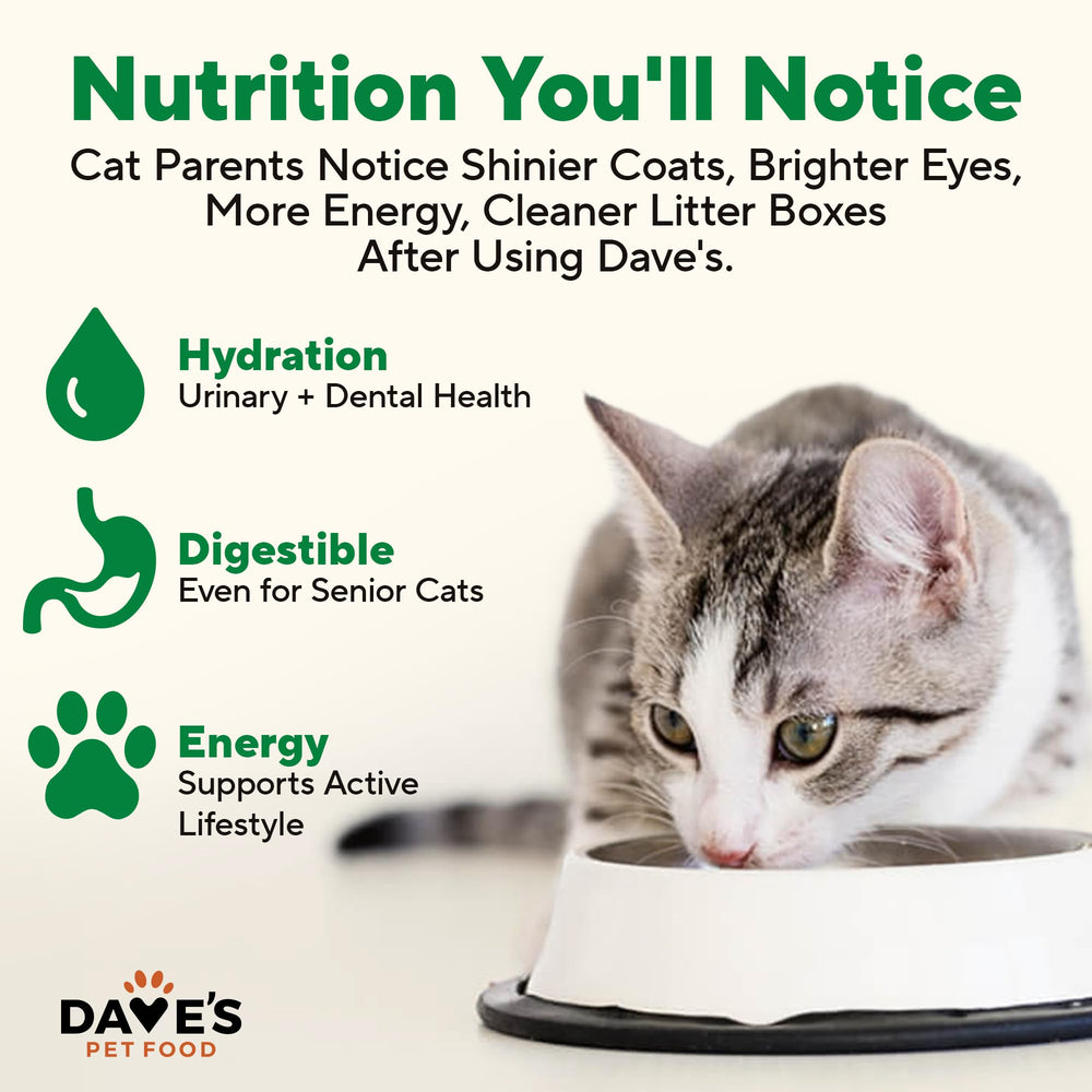Dave's Pet Food no-grain formula image shows absence of artificial flavors