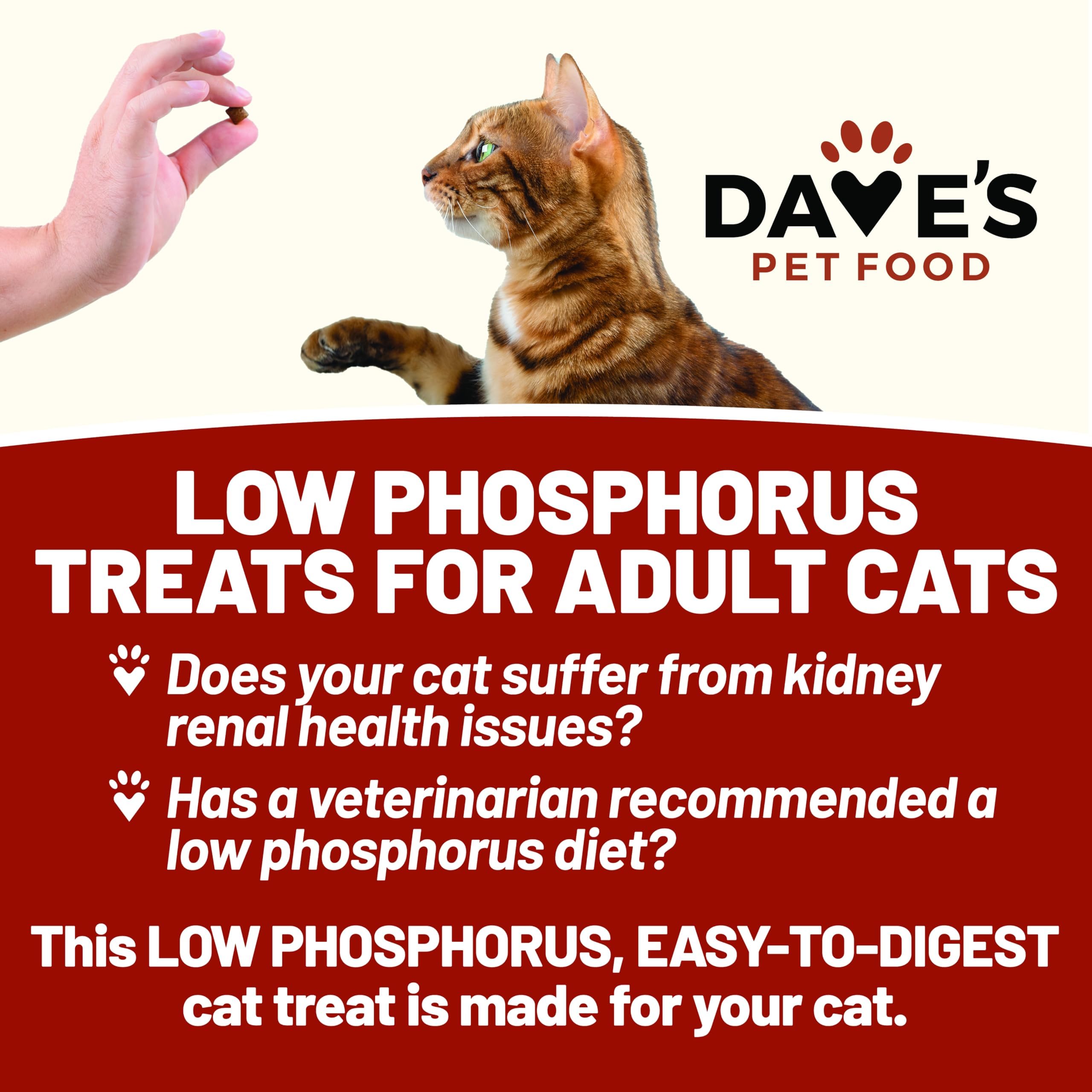 Ingredient close-up featuring sweet potato and prebiotic fiber in Dave's renal treats