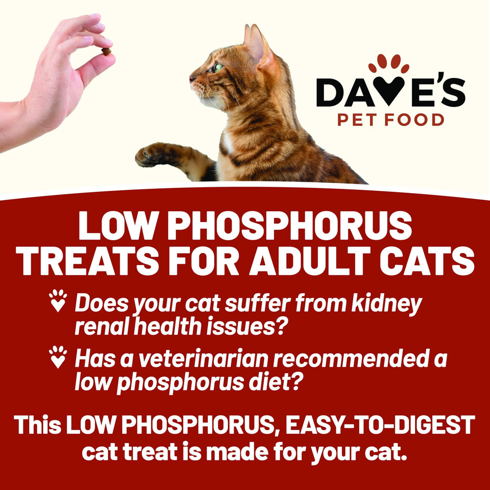 Ingredient close-up featuring sweet potato and prebiotic fiber in Dave's renal treats