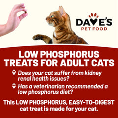 Ingredient close-up featuring sweet potato and prebiotic fiber in Dave's renal treats