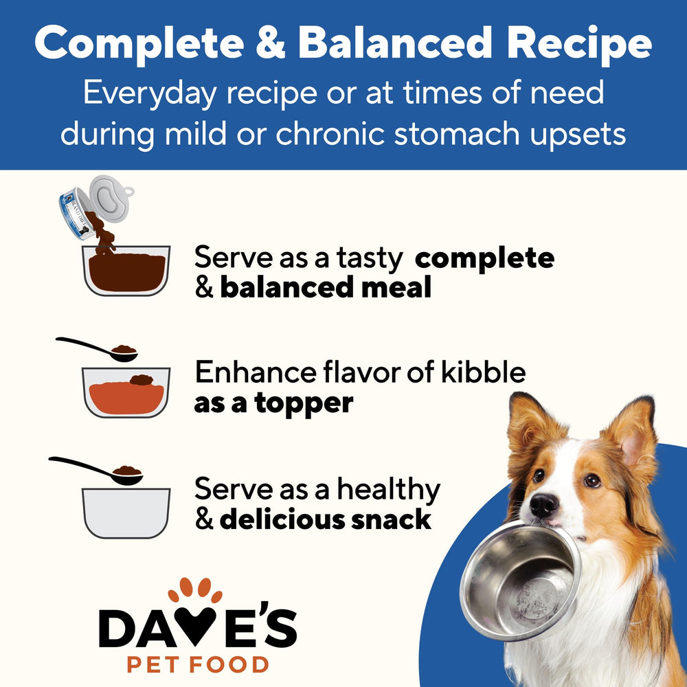 Dave's Pet Food Sensitive Stomach case-of-24 packaging shows bulk value and convenience